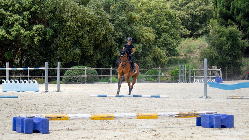 Ejercicio de barras - reloj de arena